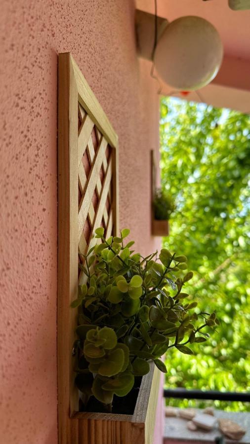 Apartment Murva Premantura Zewnętrze zdjęcie